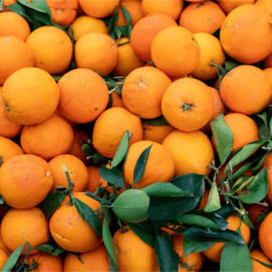 Fresh Oranges