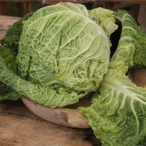 Savoy Cabbage