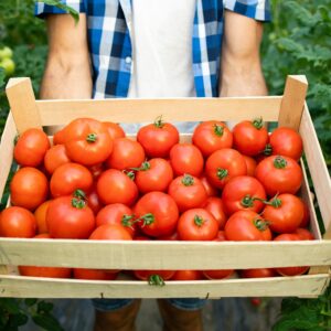 Tomato Crate