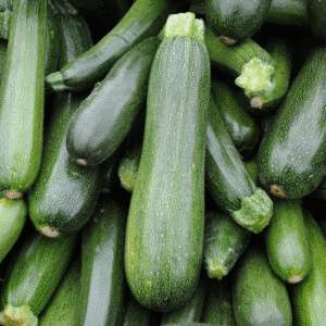 Zucchini